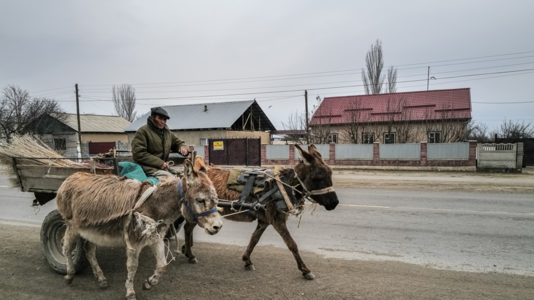 哈萨克斯坦与中国的边贸蓬勃发展，但好处是双向的吗？