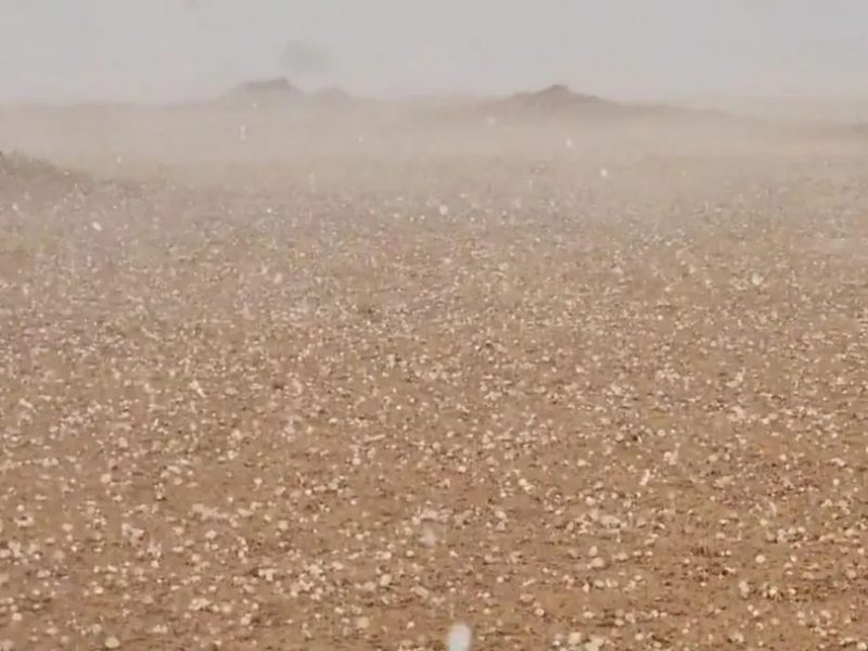 阿联酋天气：迪拜和沙迦下起了大雨和冰雹