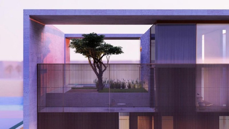 因为一棵树，迪拜一栋别墅以 1.28 亿迪拉姆的价格售出